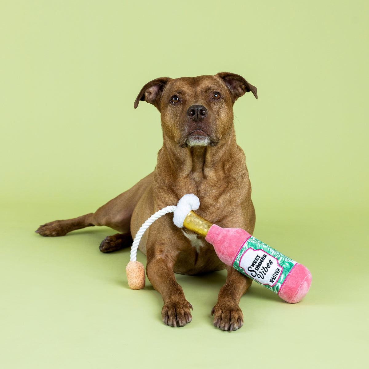 PETSHOP SWEET SUMMER VIBES PLUSH DOG TOY – PetShop by Fringe Studio