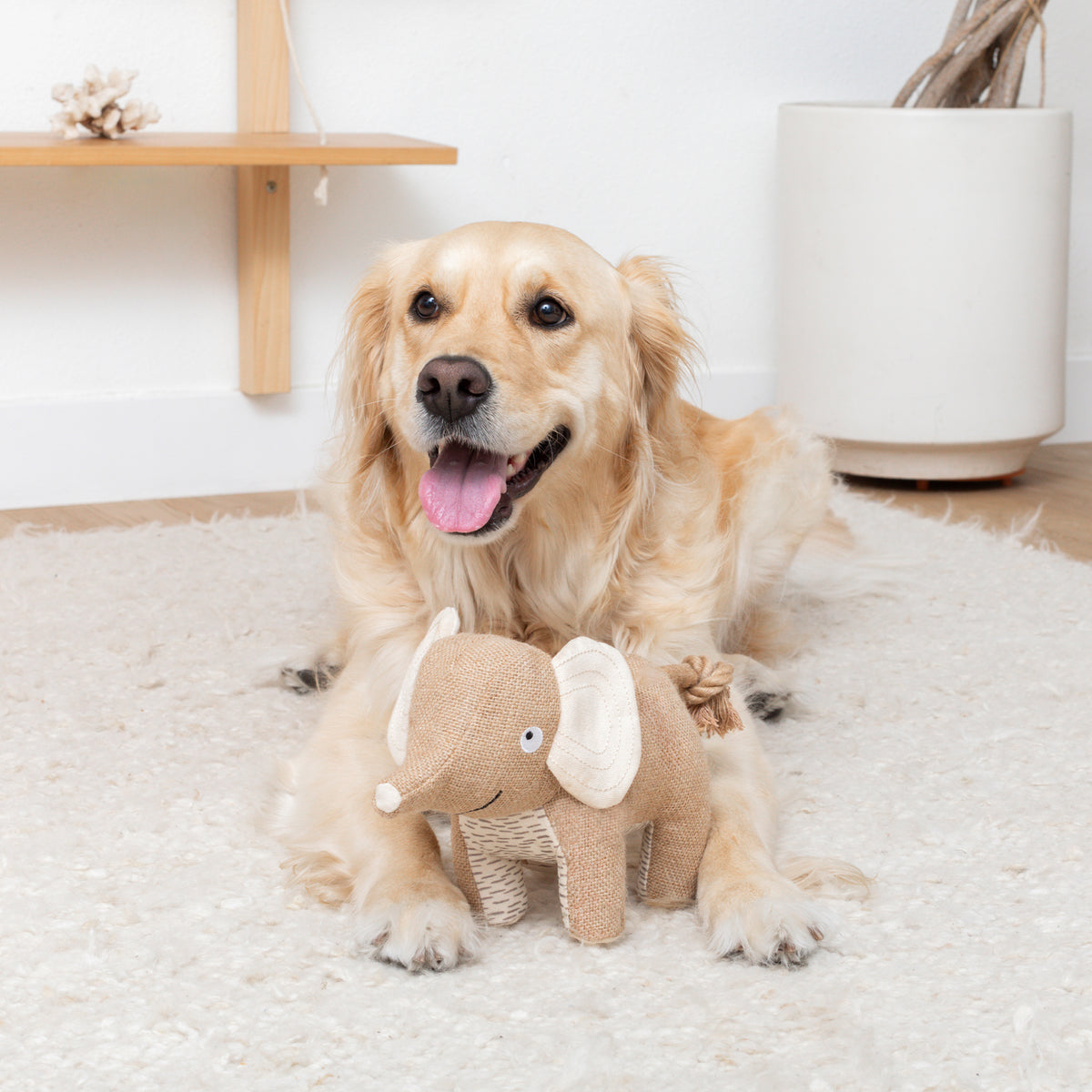 PETSHOP IT'S IN THE TRUNK EARTH FRIENDLY DOG TOY – PetShop by