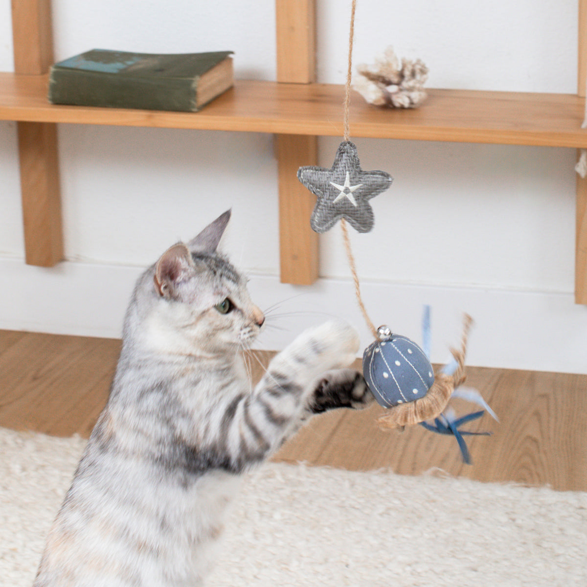 PETSHOP READY FOR THIS JELLY? EARTH FRIENDLY CAT TOY – PetShop by