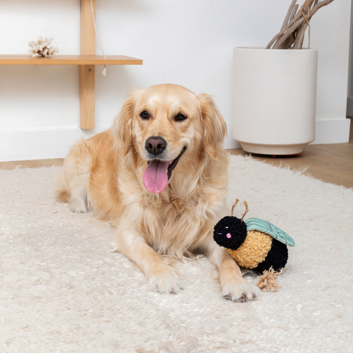 筆記具 BOOWY TM NETWORK TUBE REBECCA HOUND DOG BOOWY TM NETWORK TUBE REBECCA HOUND DOG