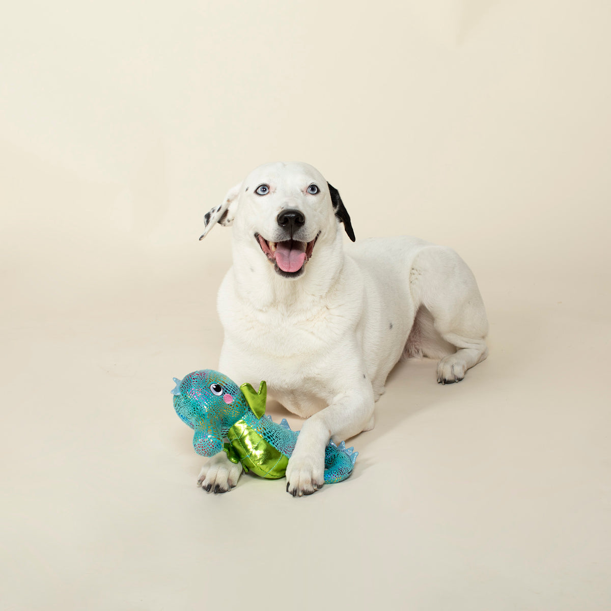PETSHOP SEAHORSE DOG TOY – PetShop by Fringe Studio