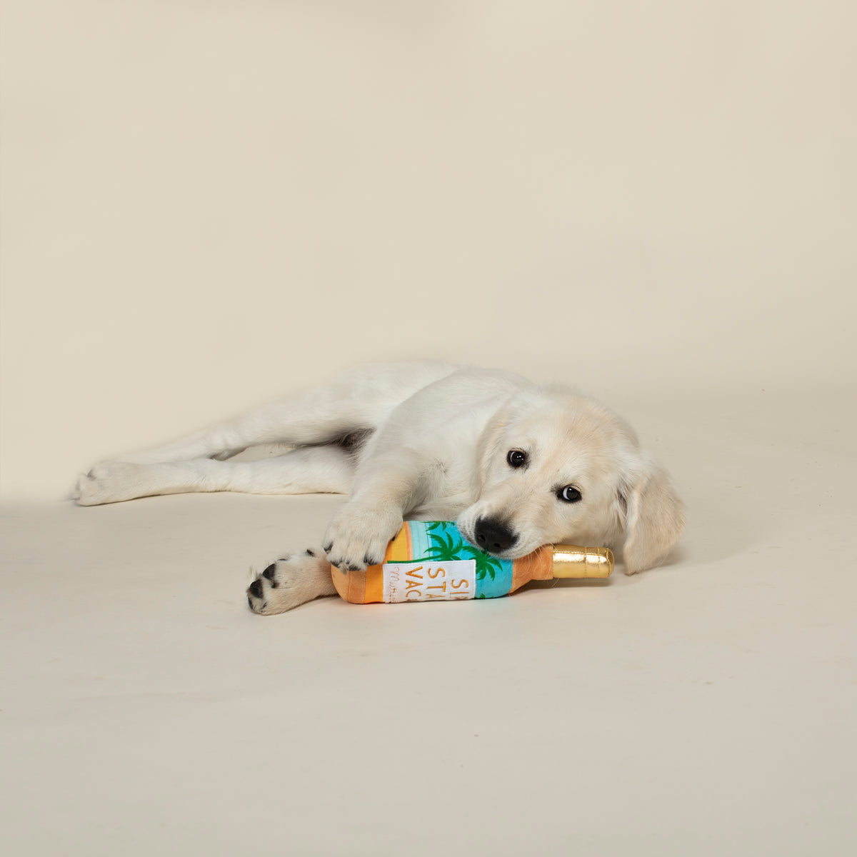 PETSHOP SIP STAY VACAY DOG TOY – PetShop by Fringe Studio