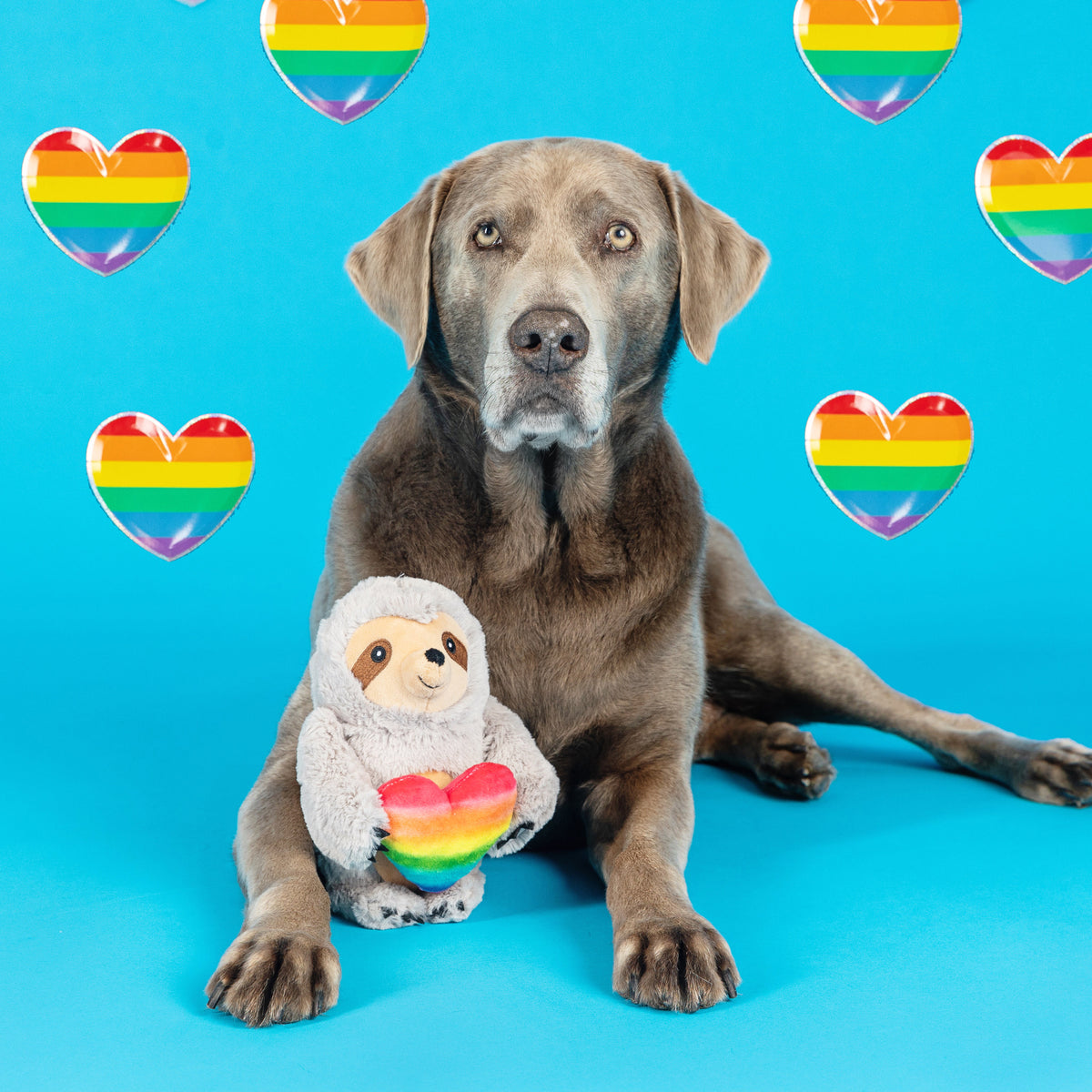 RAINBOW SLOTH DOG TOY by Fringe Studio