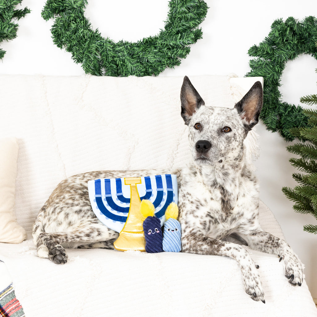 PETSHOP A LIT HANUKKAH HIDE AND SEEK BURROW DOG TOY