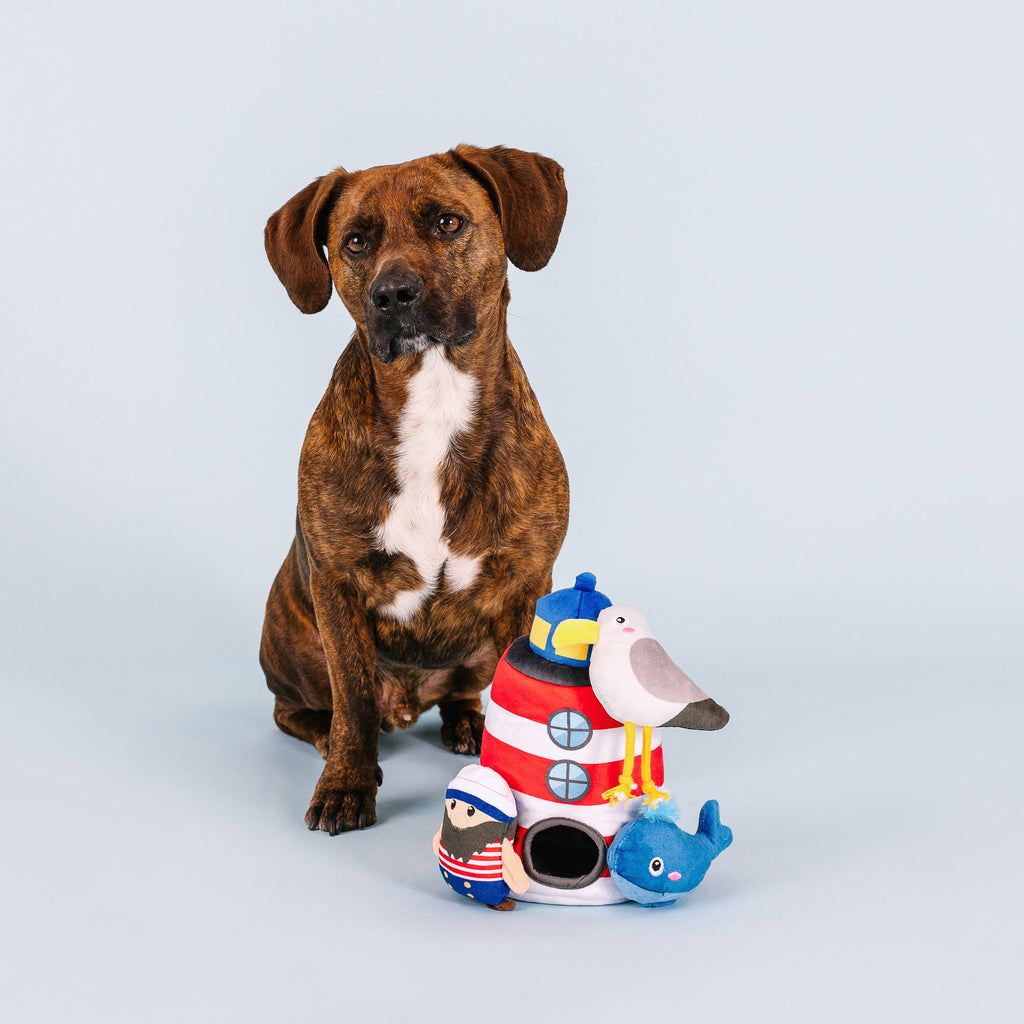 PETSHOP SHIPS AHOY INTERATIVE DOG TOYS