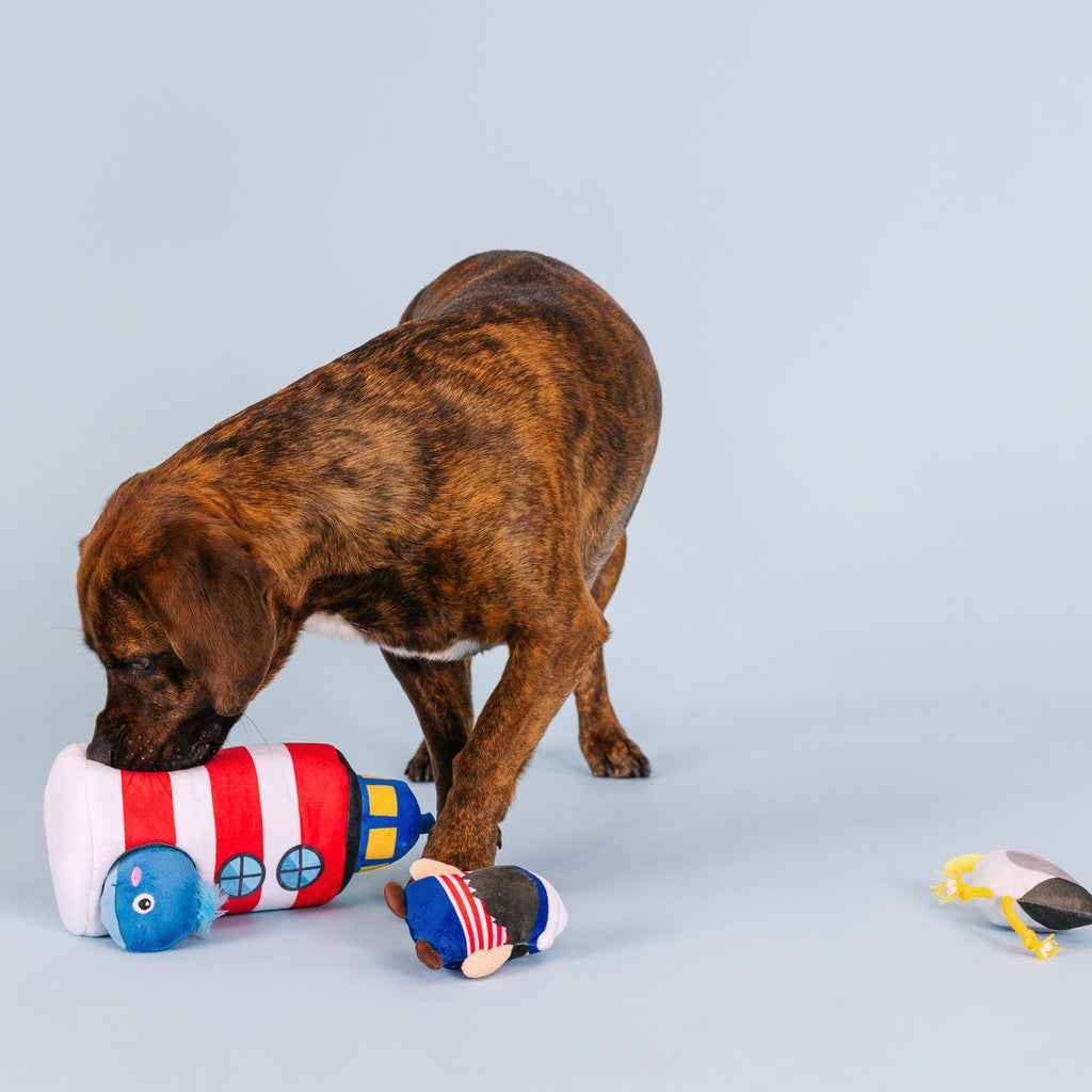 PETSHOP SHIPS AHOY INTERATIVE DOG TOYS