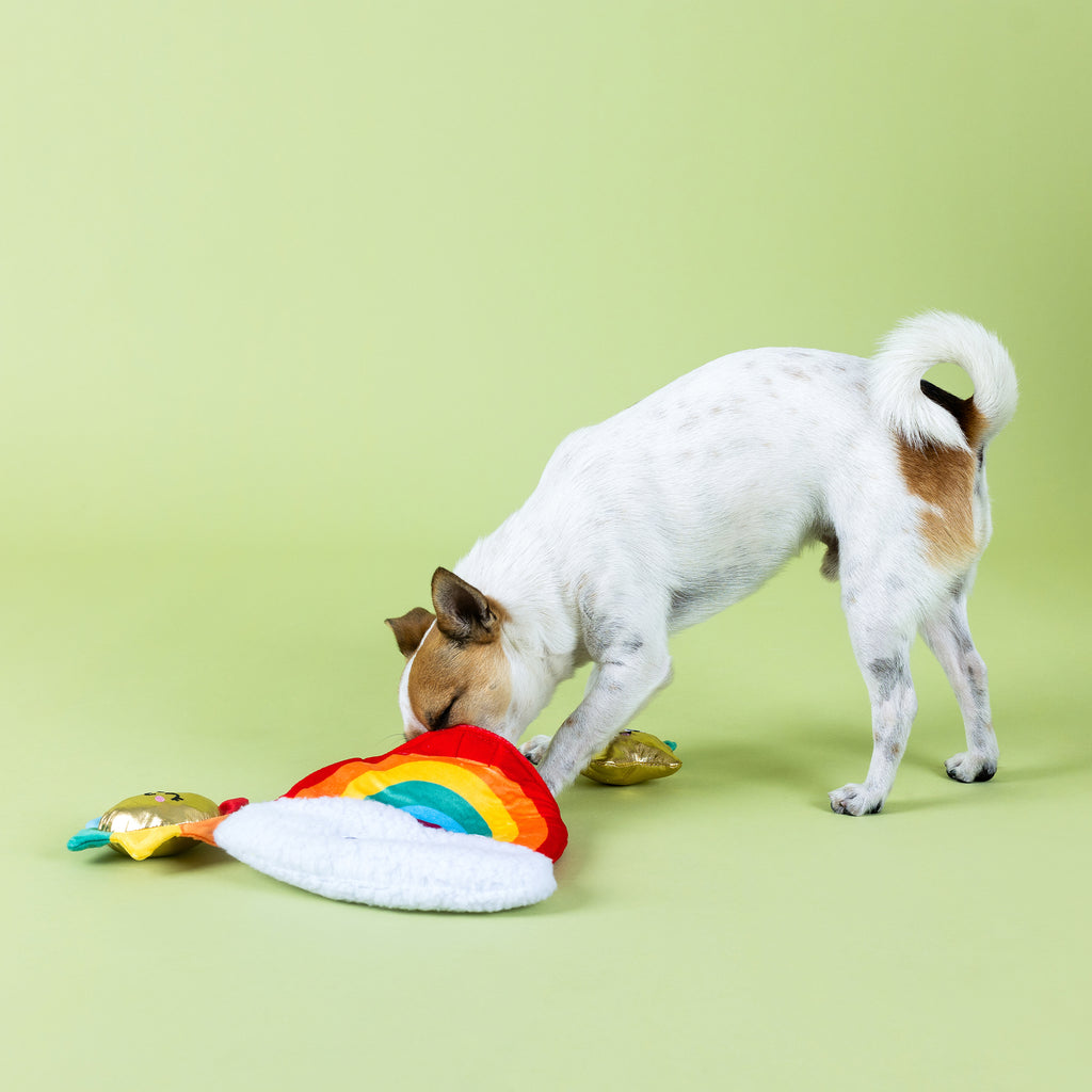 PETSHOP LOOK ON THE BRIGHT SIDE INTERACTIVE DOG TOY