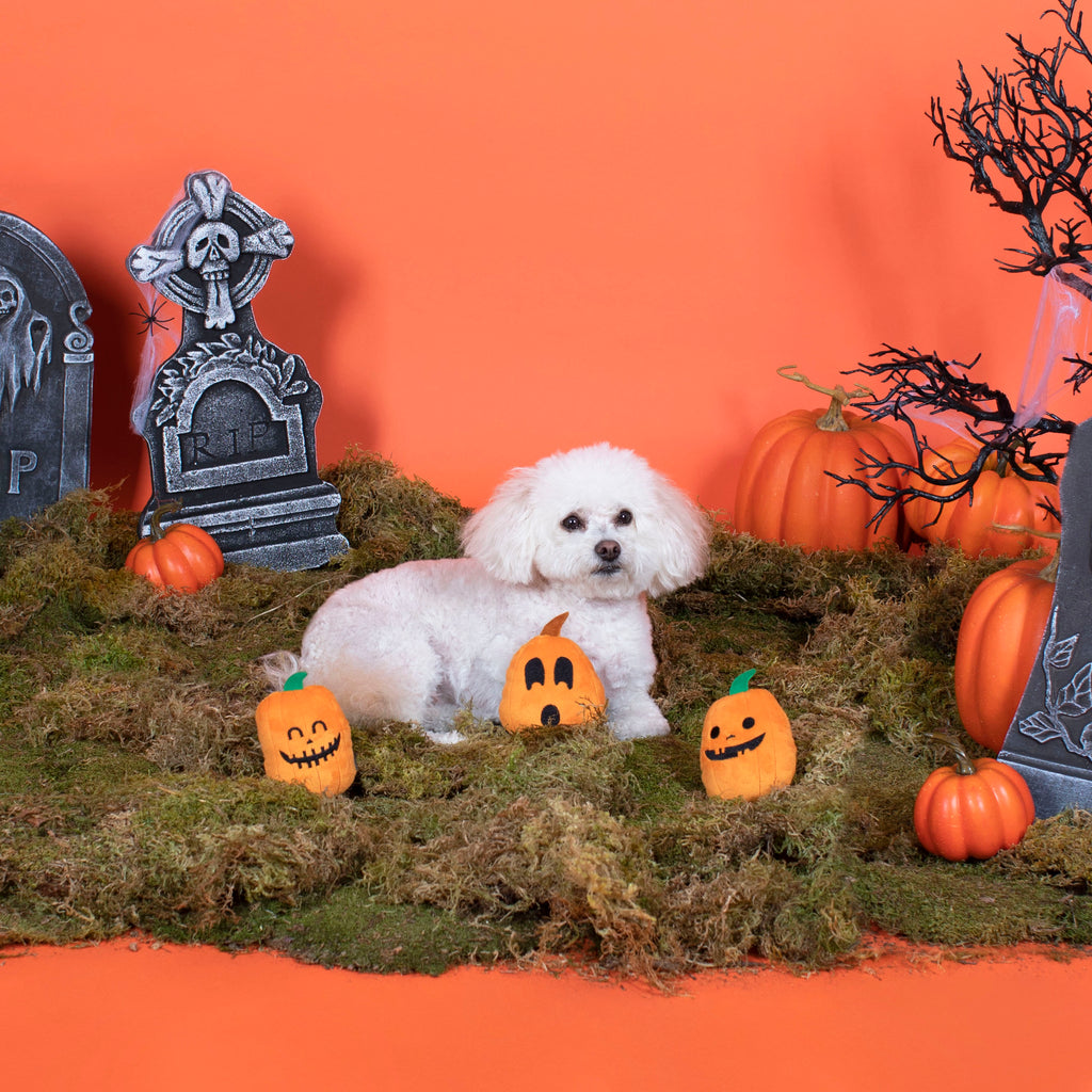 PETSHOP JACK-O-LANTERNS MINI DOG TOYS