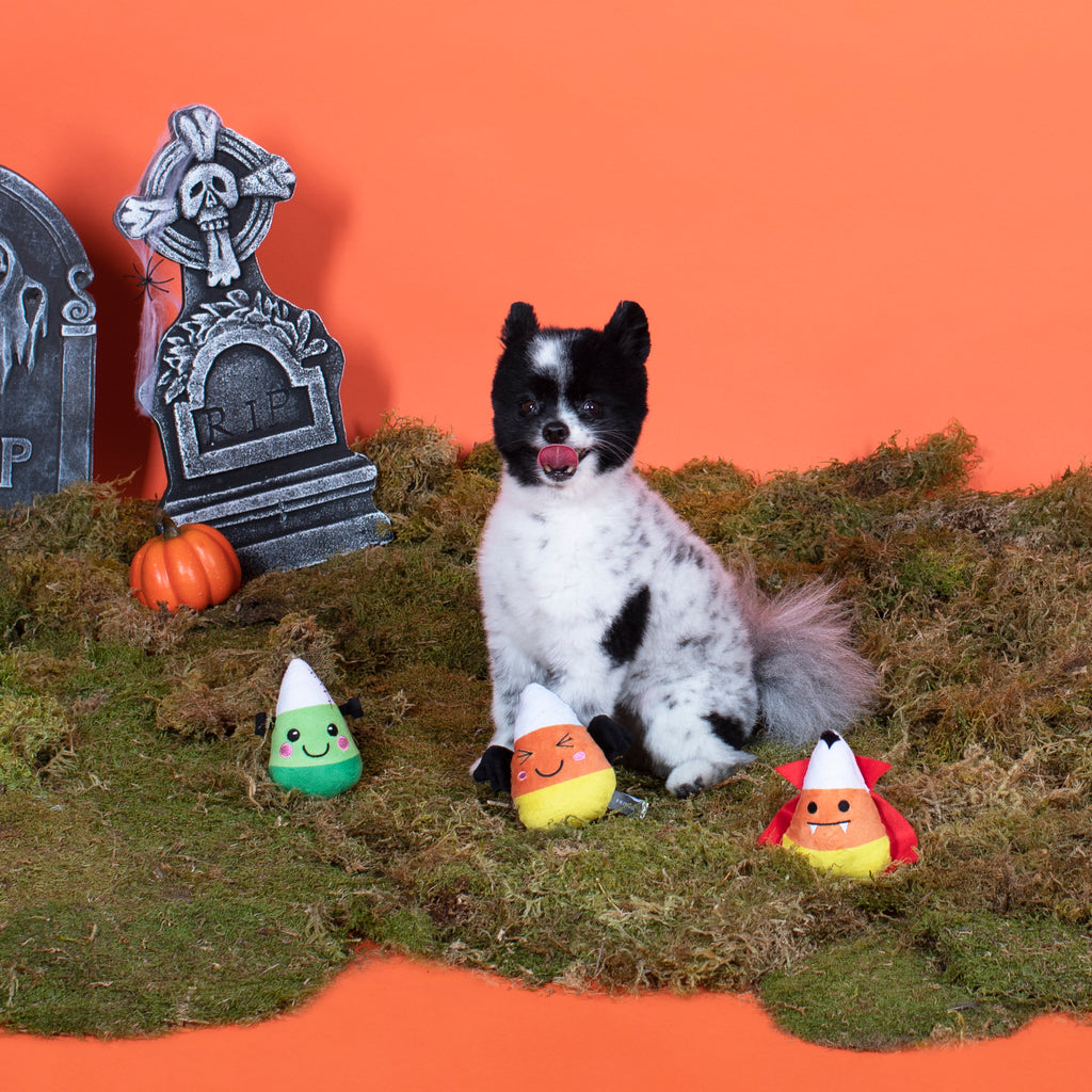 PETSHOP CANDY CORN MINI TOYS