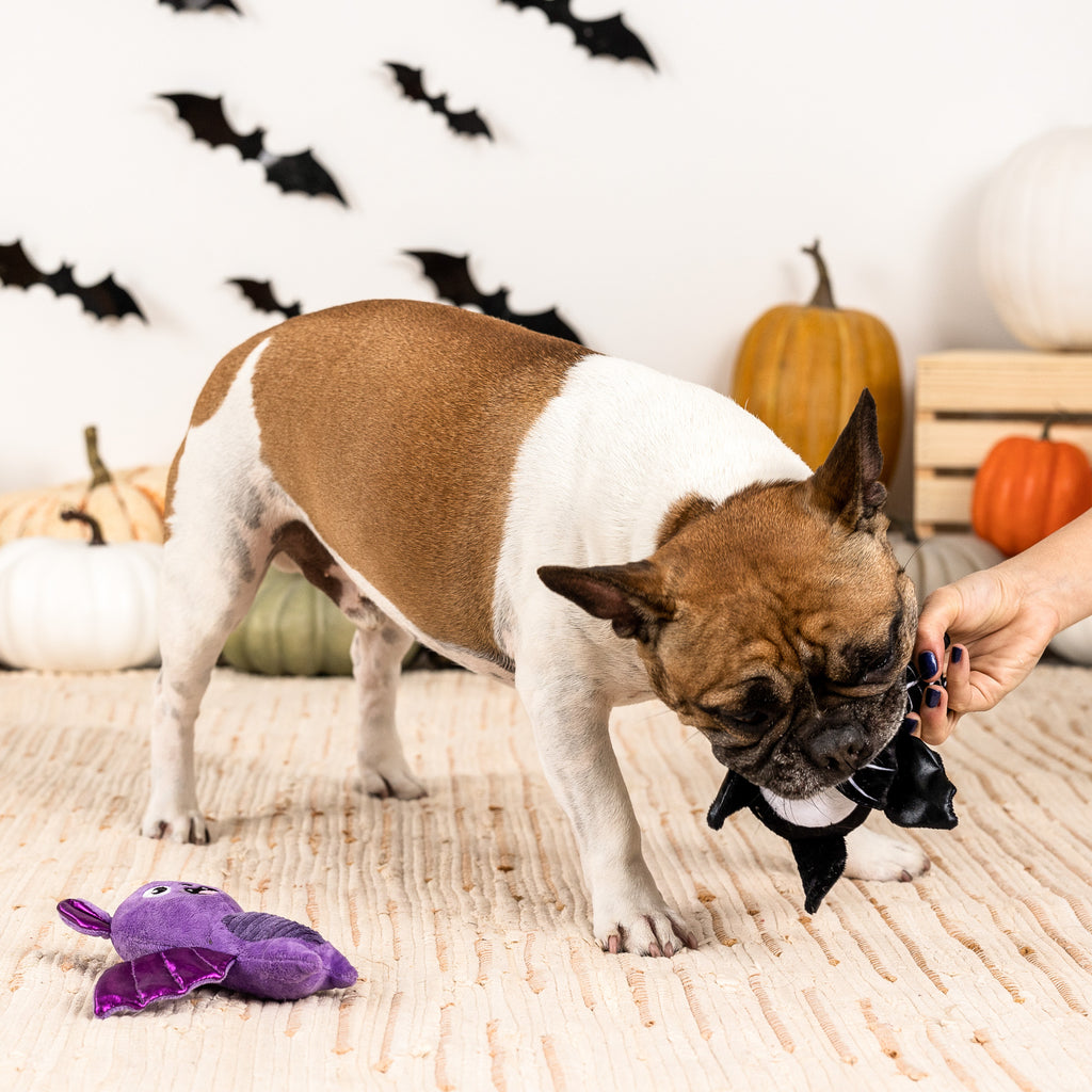 PETSHOP BAT TO THE BONE DOG TOY