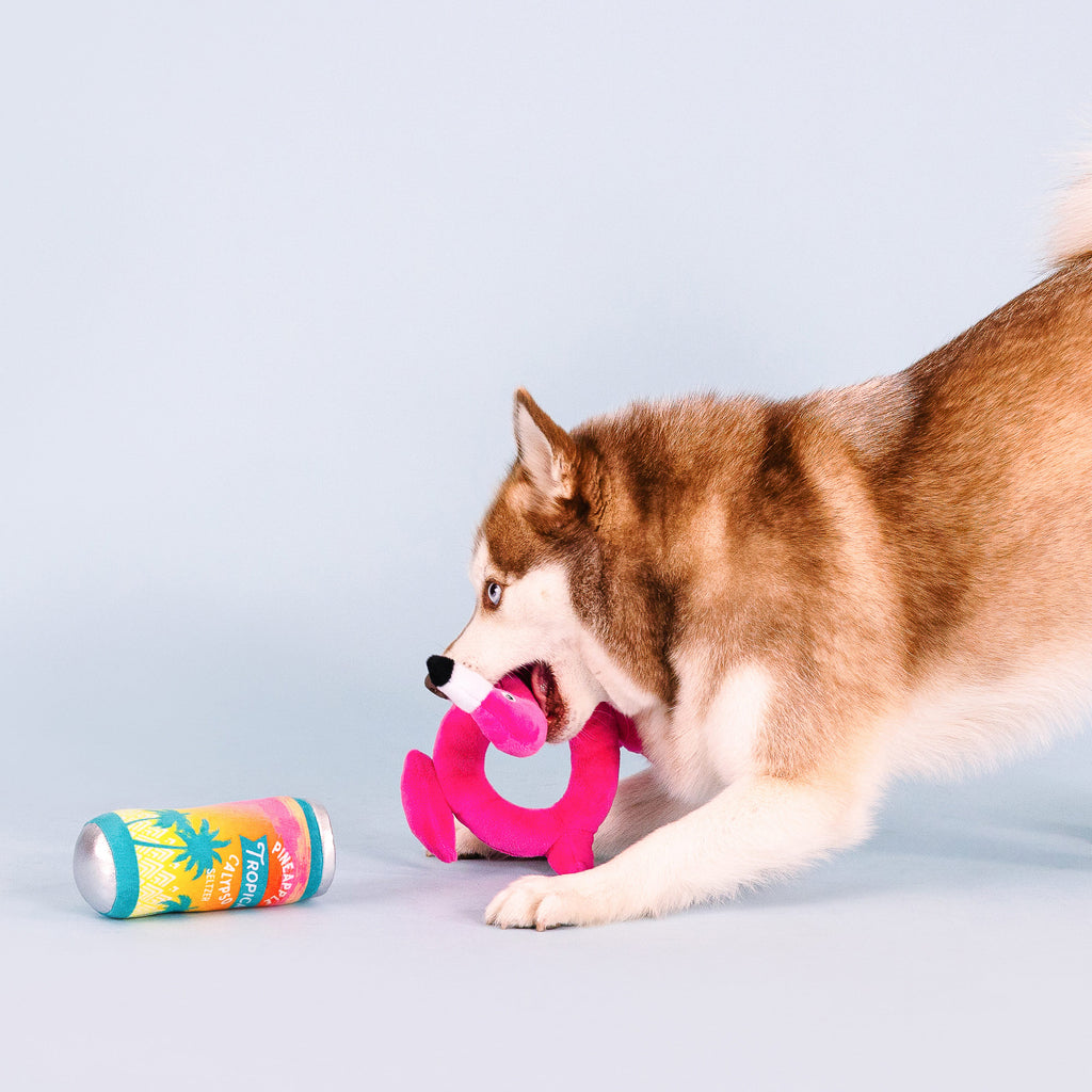 PETSHOP POOL DAYS, SUN RAYS DOG TOYS