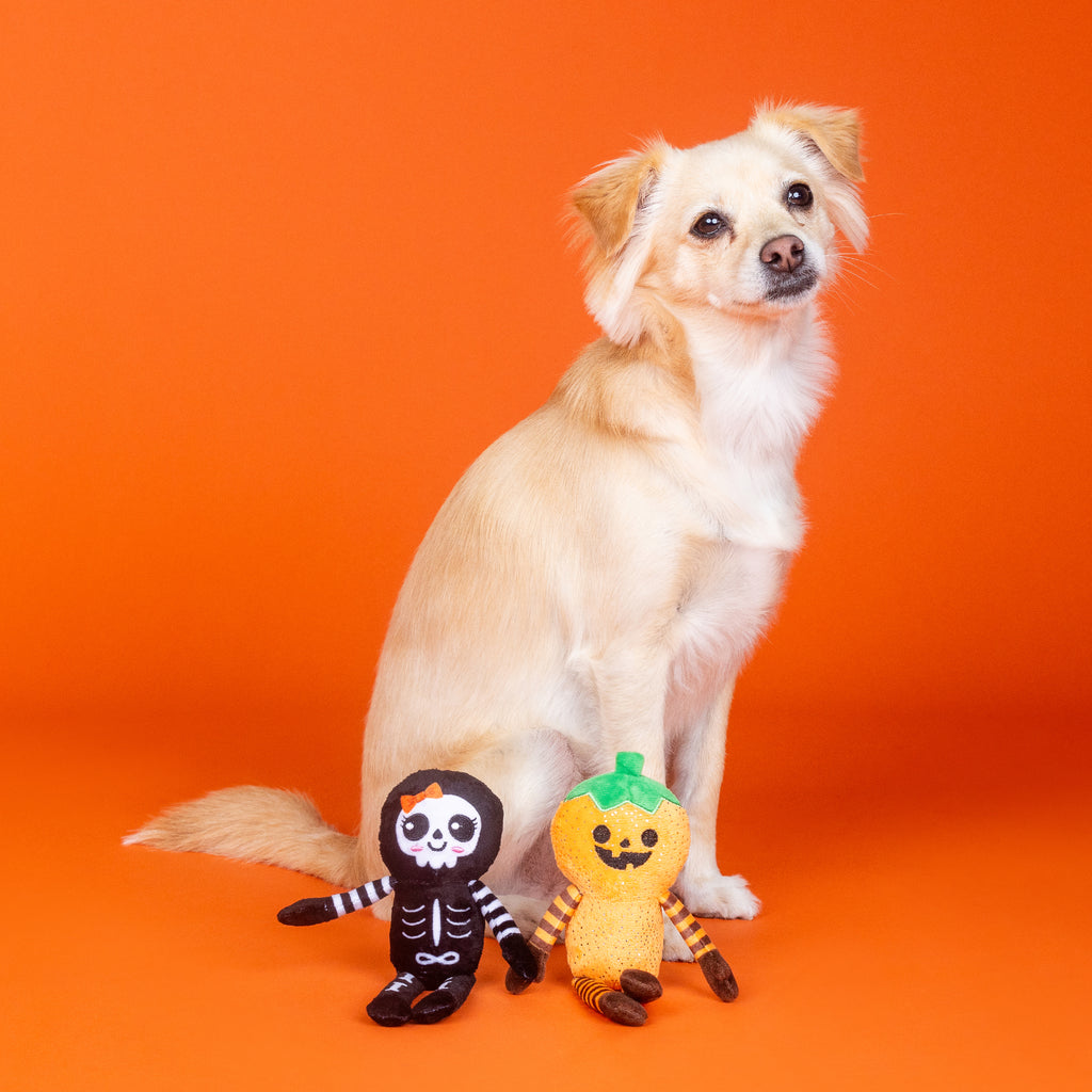 PETSHOP OH MY GOURD 2 PIECE DOG TOY SET