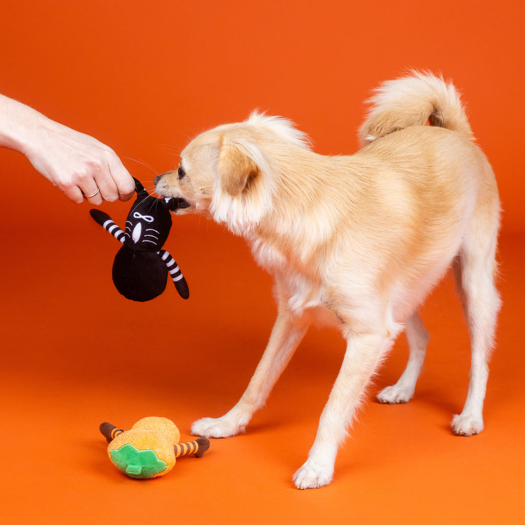 PETSHOP OH MY GOURD 2 PIECE DOG TOY SET