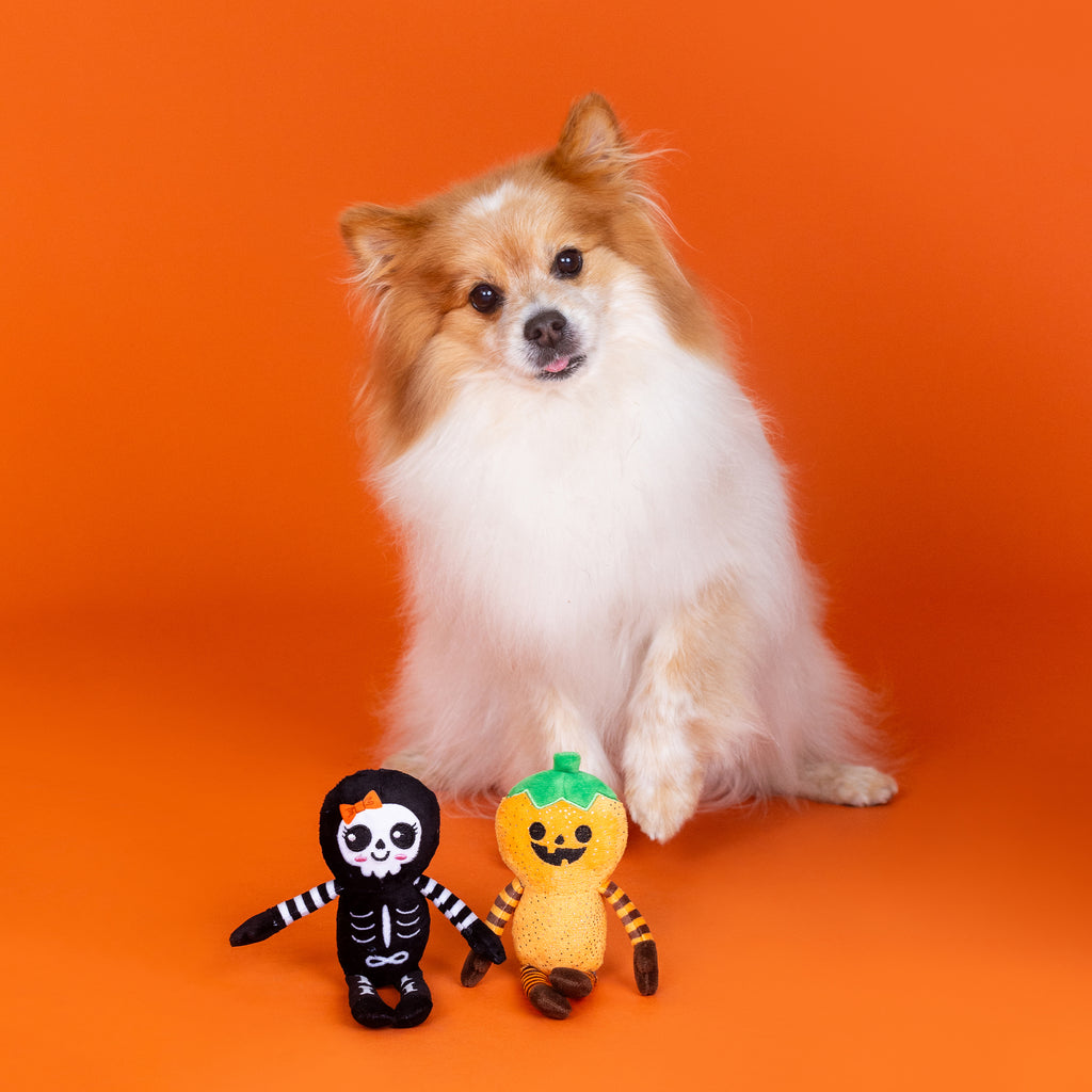 PETSHOP OH MY GOURD 2 PIECE DOG TOY SET