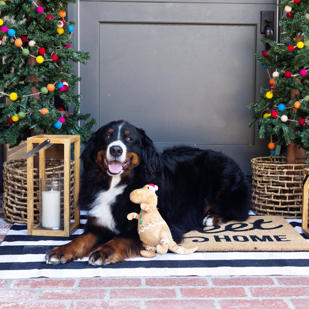 PETSHOP COOKIE-SAURUS DOG TOY