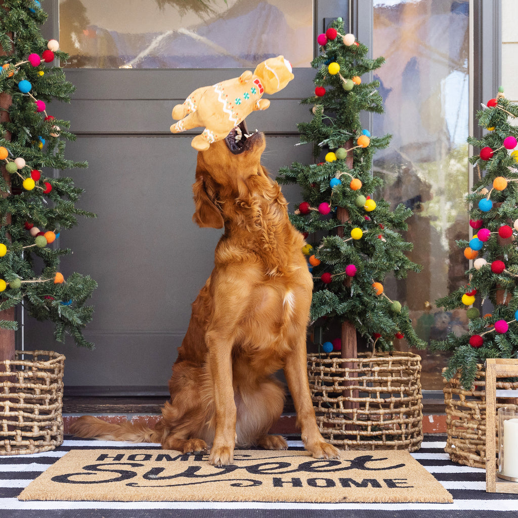 PETSHOP COOKIE-SAURUS DOG TOY