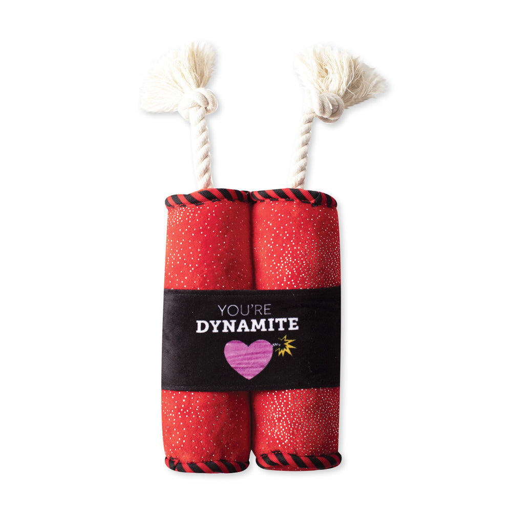 PETSHOP YOU'RE DYNAMITE ROPE DOG TOY