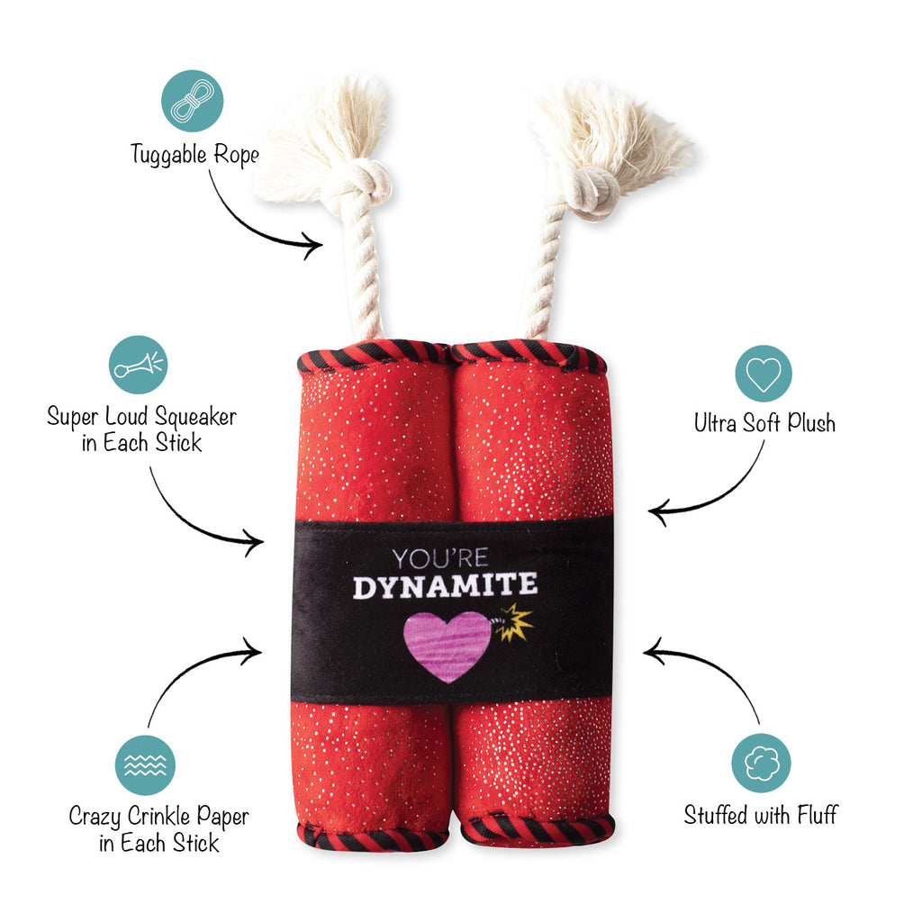 PETSHOP YOU'RE DYNAMITE ROPE DOG TOY