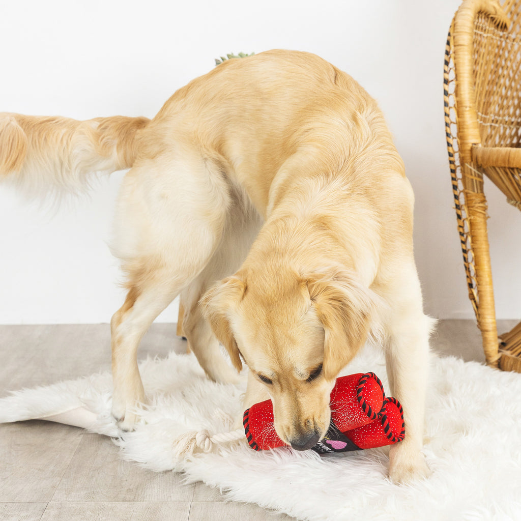 PETSHOP YOU'RE DYNAMITE ROPE DOG TOY