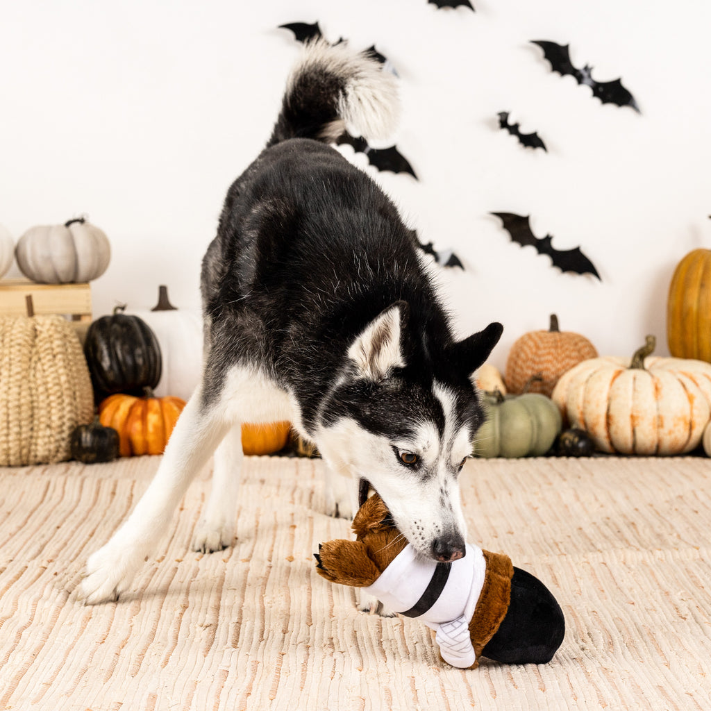 PETSHOP LOVE AT FIRST FRIGHT DOG TOY