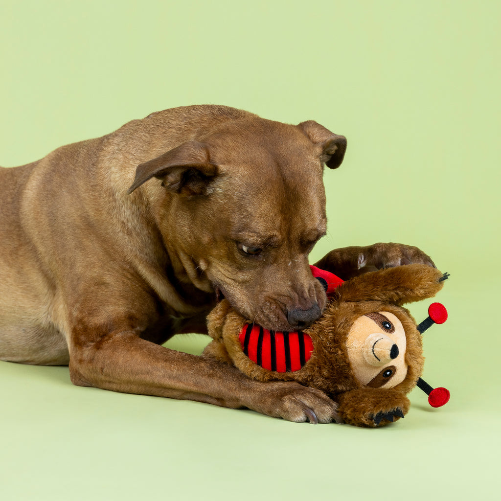 PETSHOP LITTLE LADYBUG PLUSH DOG TOY