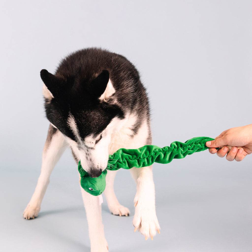 PETSHOP HISSES AND KISSES DOG TOY