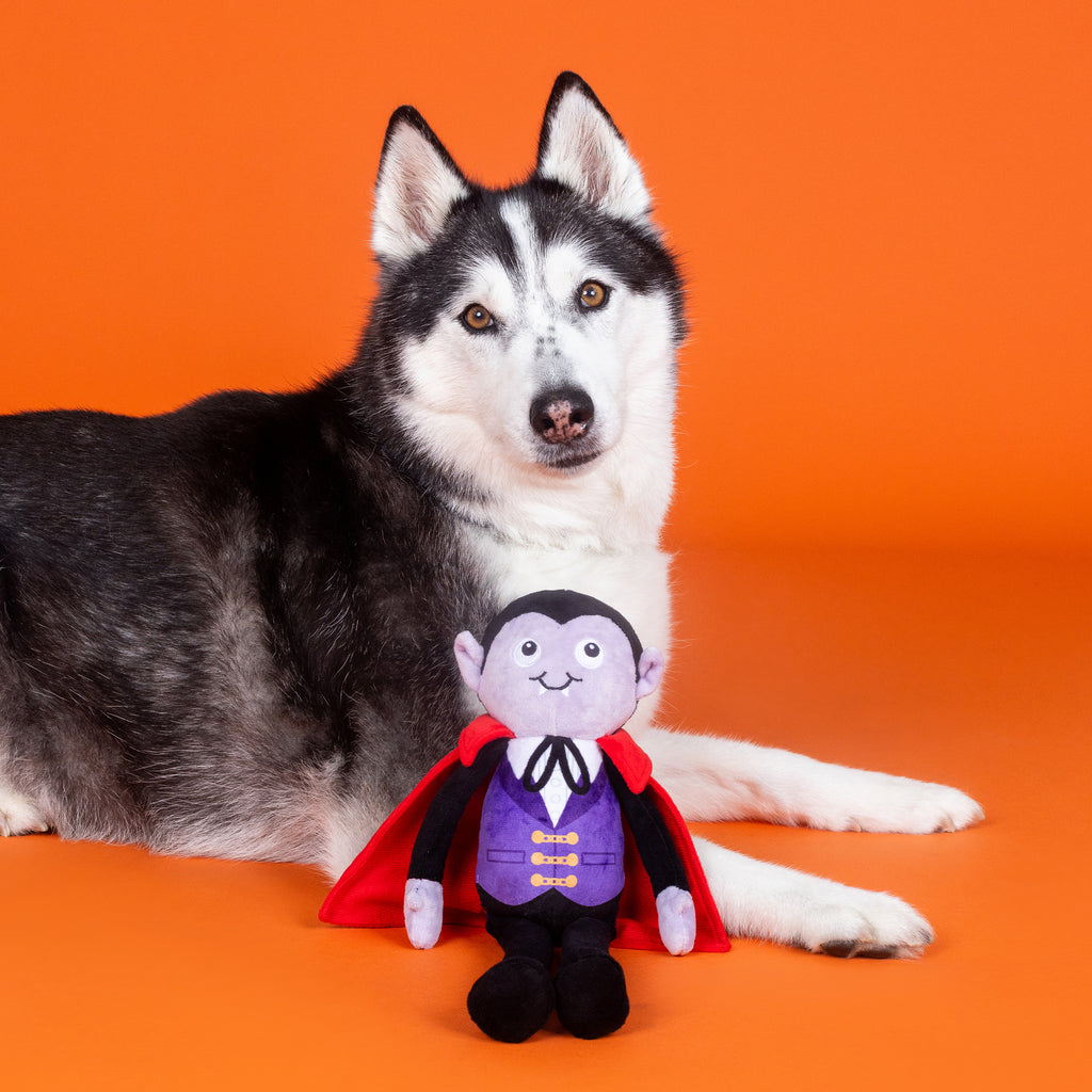 PETSHOP YOU'RE MY BLOOD TYPE DOG TOY