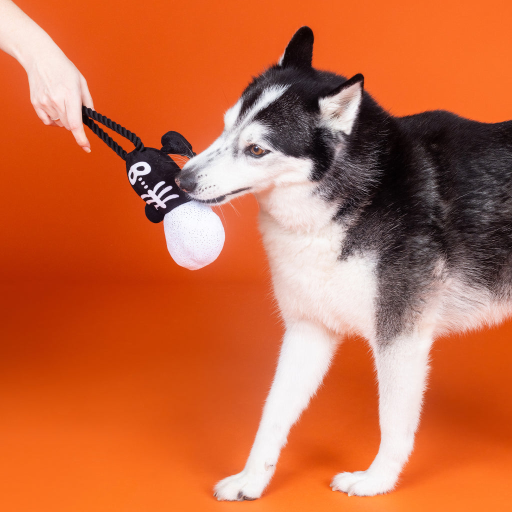 PETSHOP GOT A BONE TO PICK DOG TOY