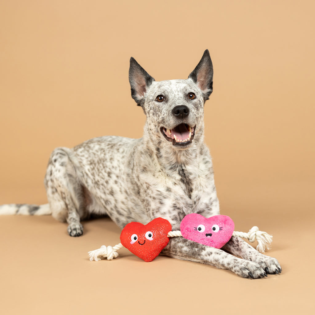 PETSHOP CAN'T BE AP-HEART DOG TOY