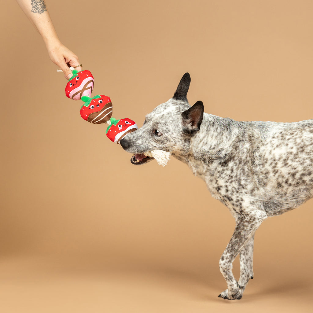 PETSHOP COVERED WITH LOVE ROPE DOG TOY