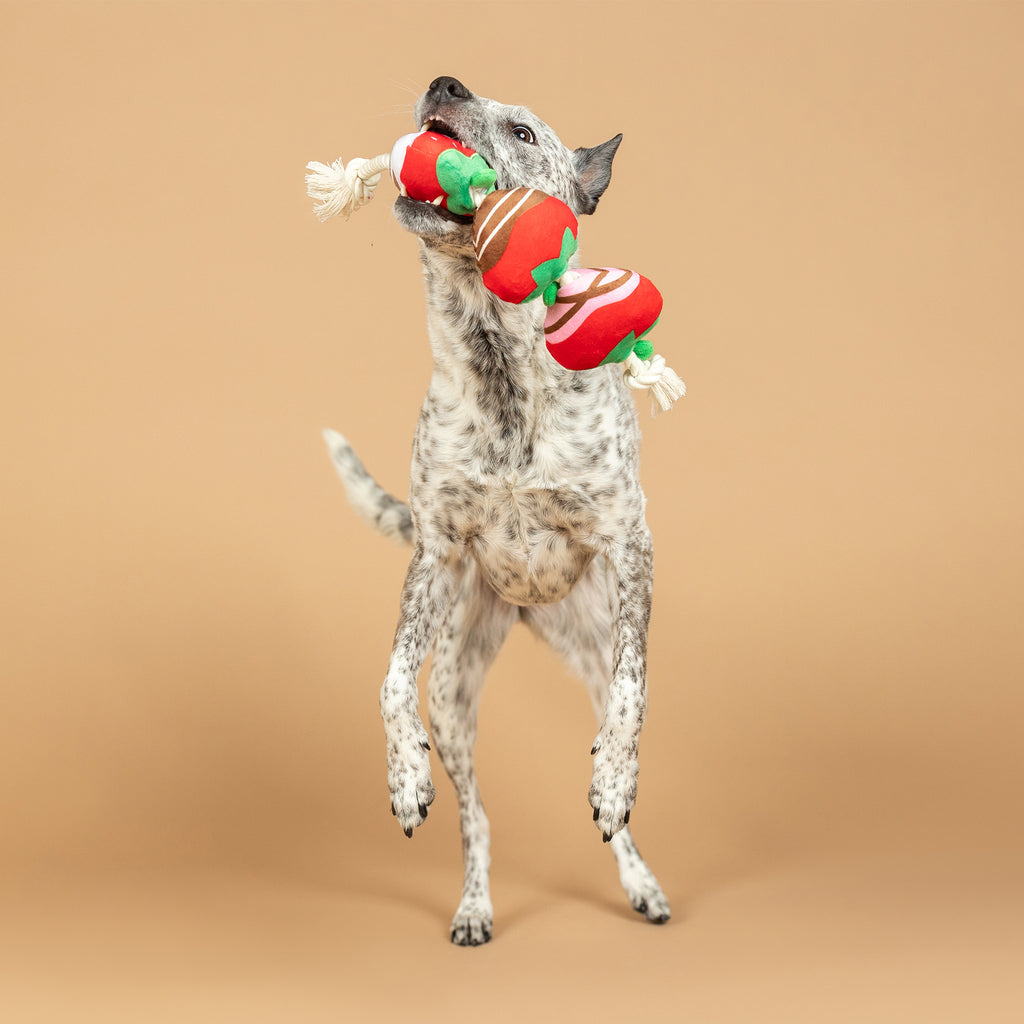 PETSHOP COVERED WITH LOVE ROPE DOG TOY