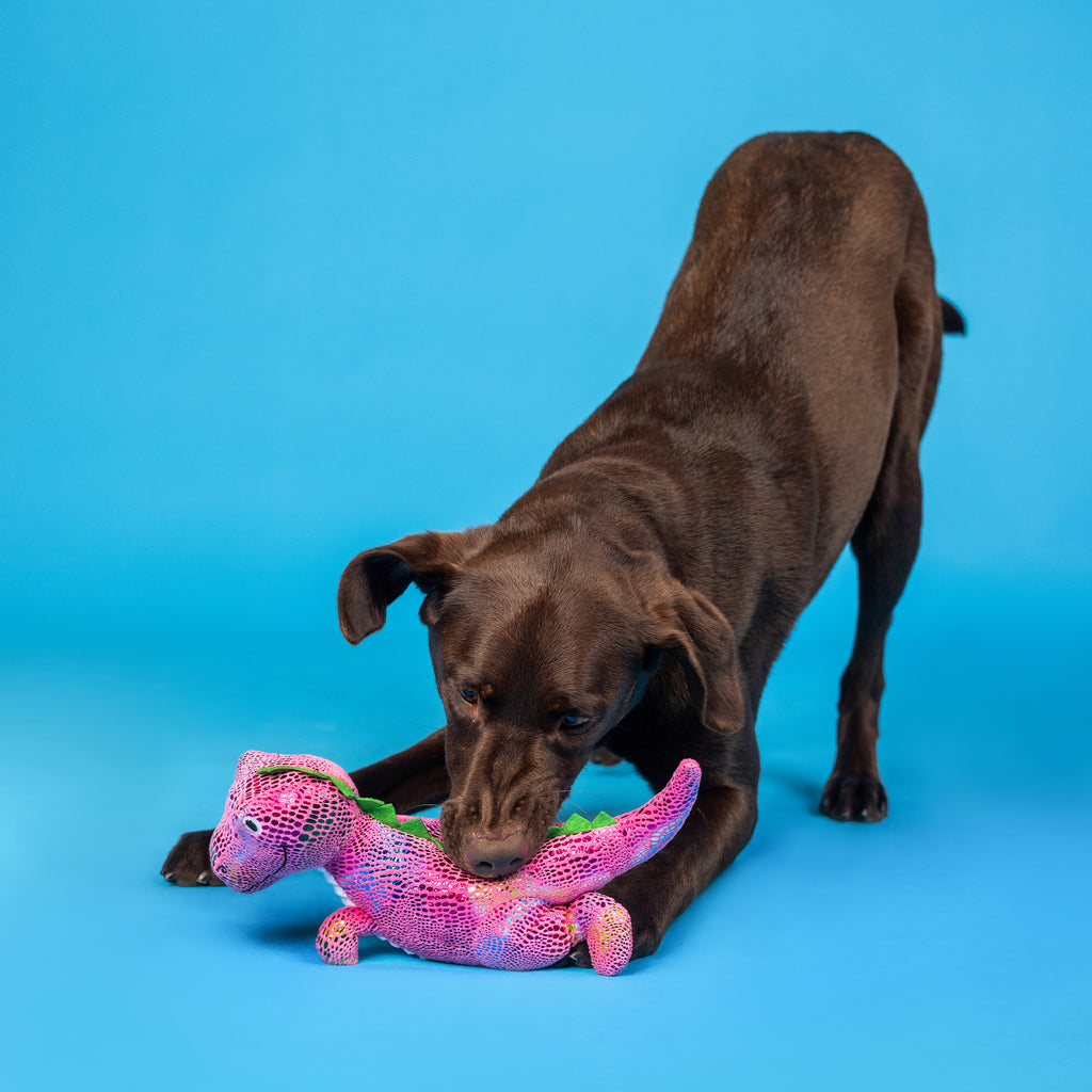 PETSHOP EMBRACE YOUR COLORS PLUSH DOG TOY