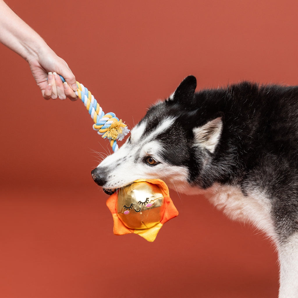 PETSHOP SUN-DAY I'M IN LOVE ROPE DOG TOY