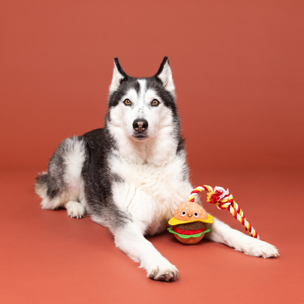 PETSHOP YOU'RE THE BUN THAT I WANT ROPE DOG TOY