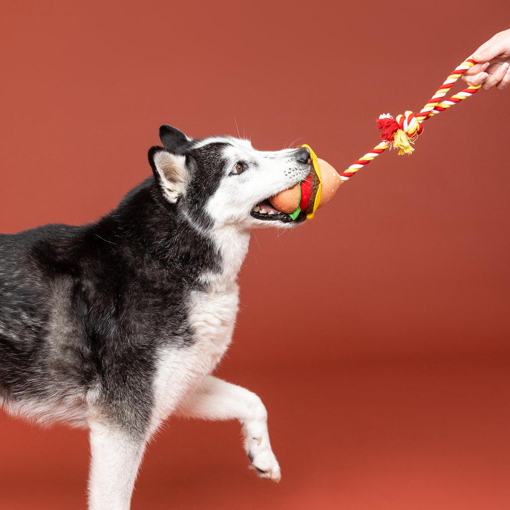 PETSHOP YOU'RE THE BUN THAT I WANT ROPE DOG TOY