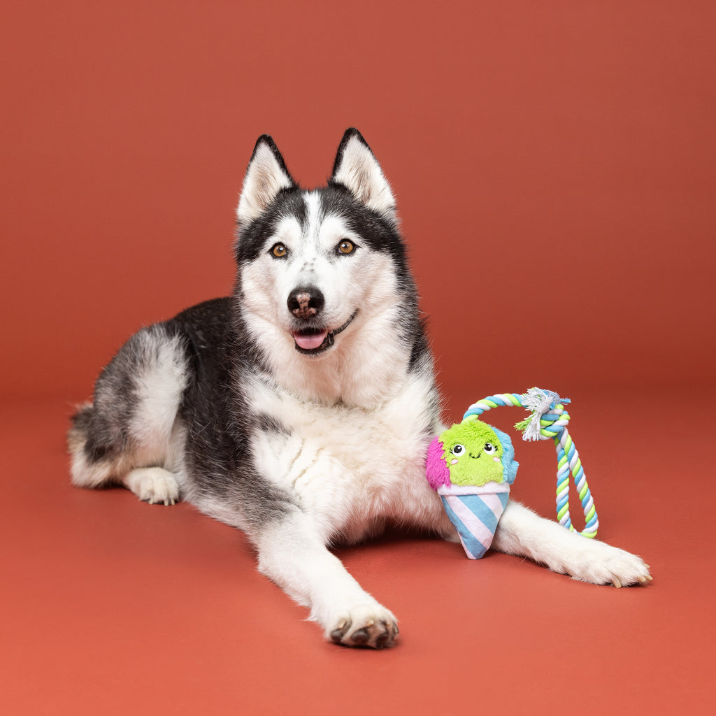 PETSHOP CONE-FIDENCE IS YUMMY ROPE DOG TOY
