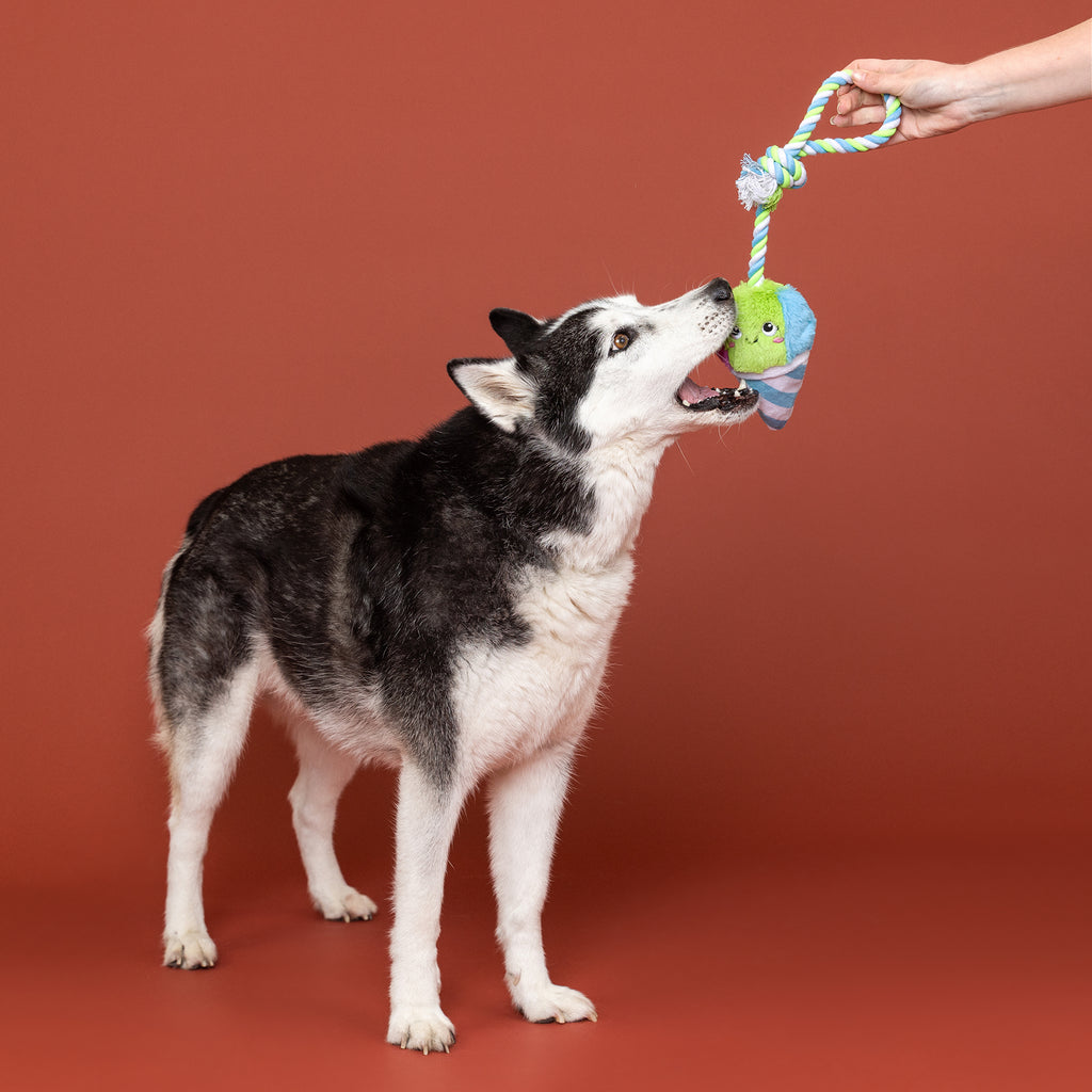 PETSHOP CONE-FIDENCE IS YUMMY ROPE DOG TOY