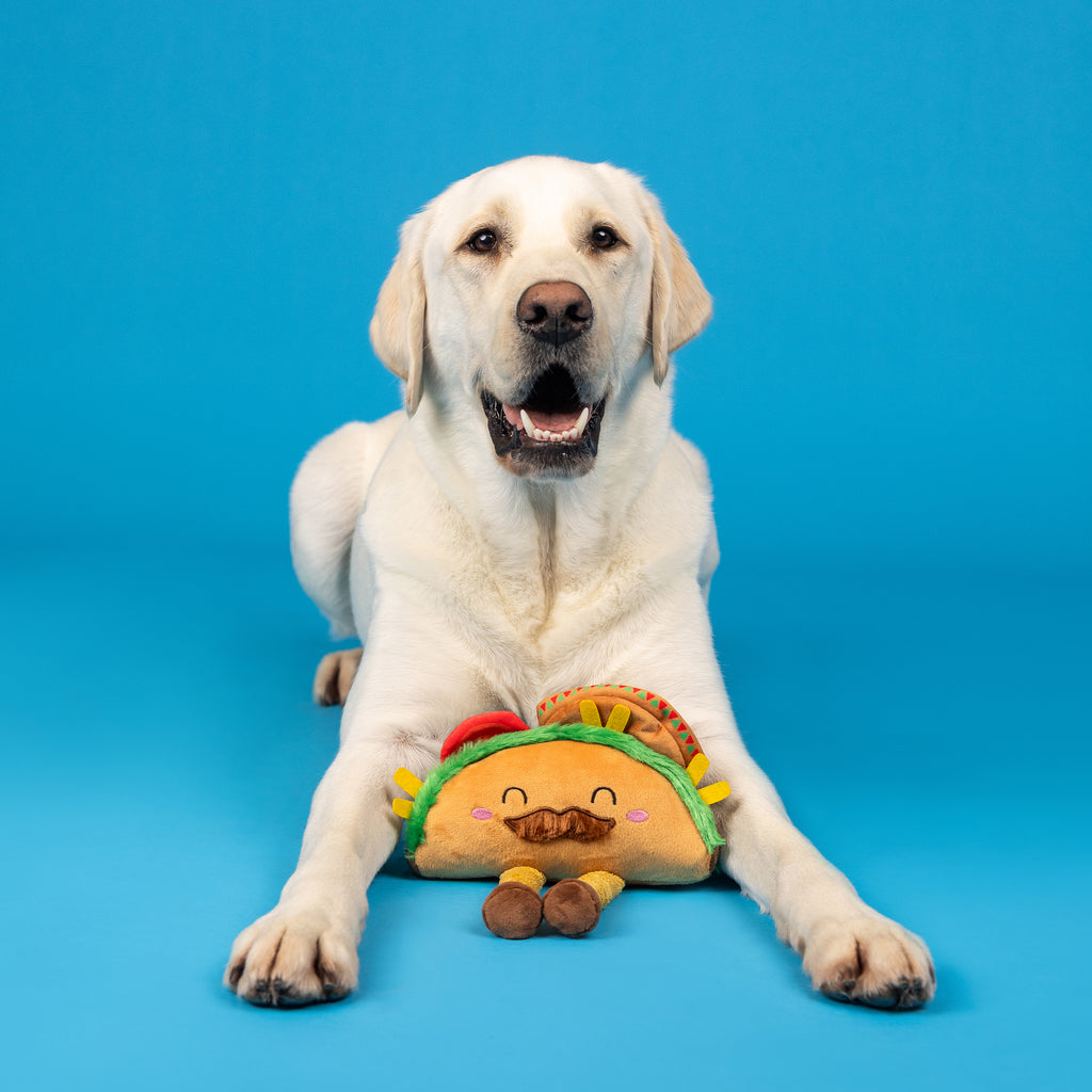 PETSHOP SPICY SIDEKICK PLUSH DOG TOY