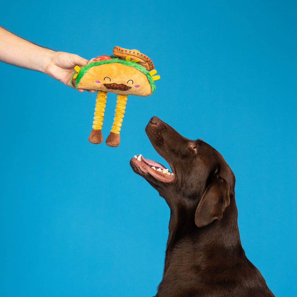 PETSHOP SPICY SIDEKICK PLUSH DOG TOY