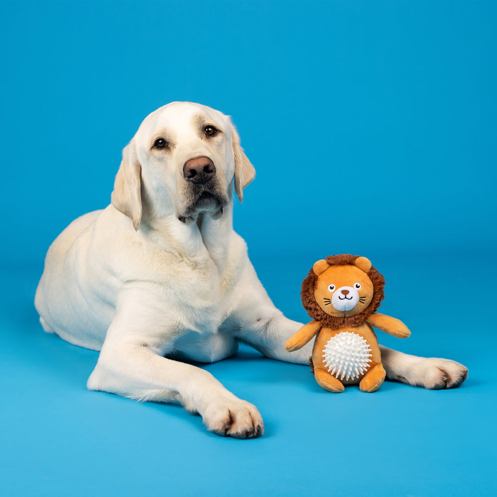 PETSHOP CAN'T BE TAMED PLUSH/SPIKEY BALL TOY