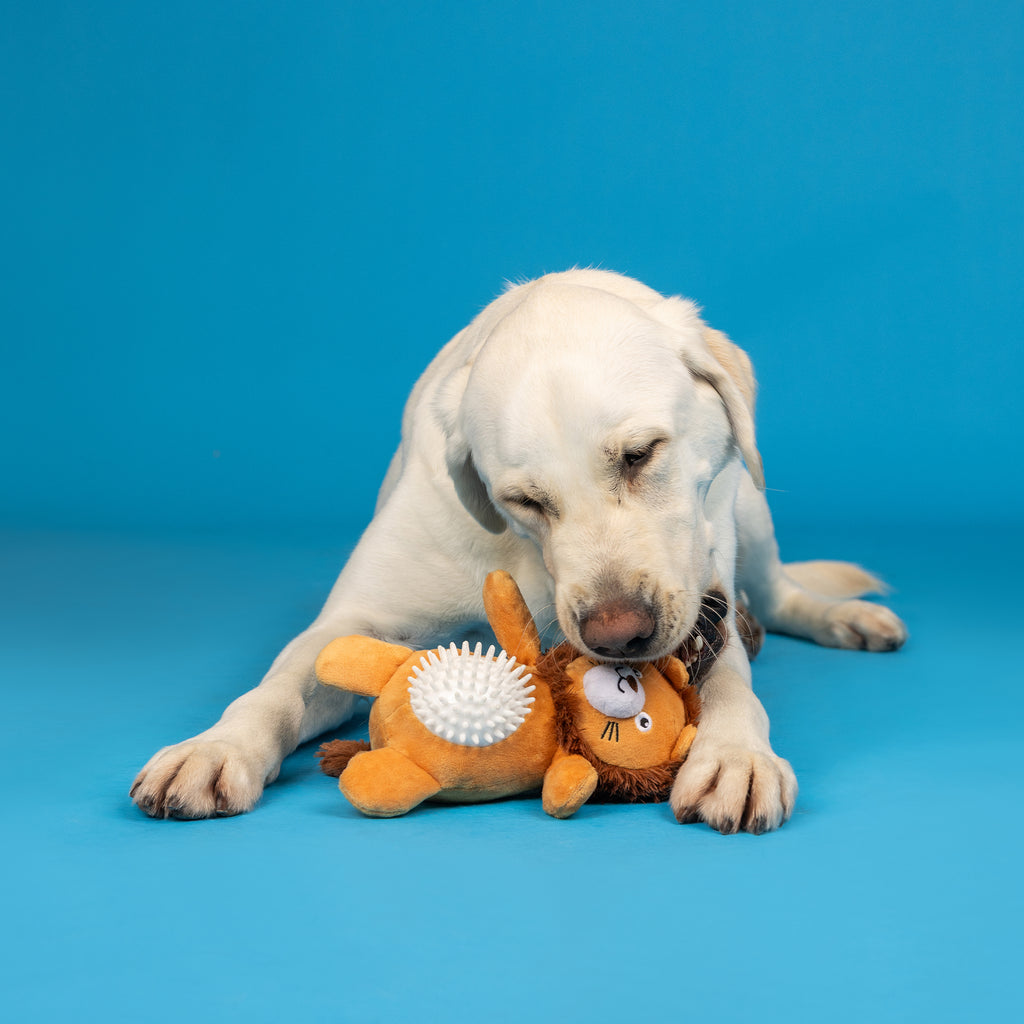 PETSHOP CAN'T BE TAMED PLUSH/SPIKEY BALL TOY