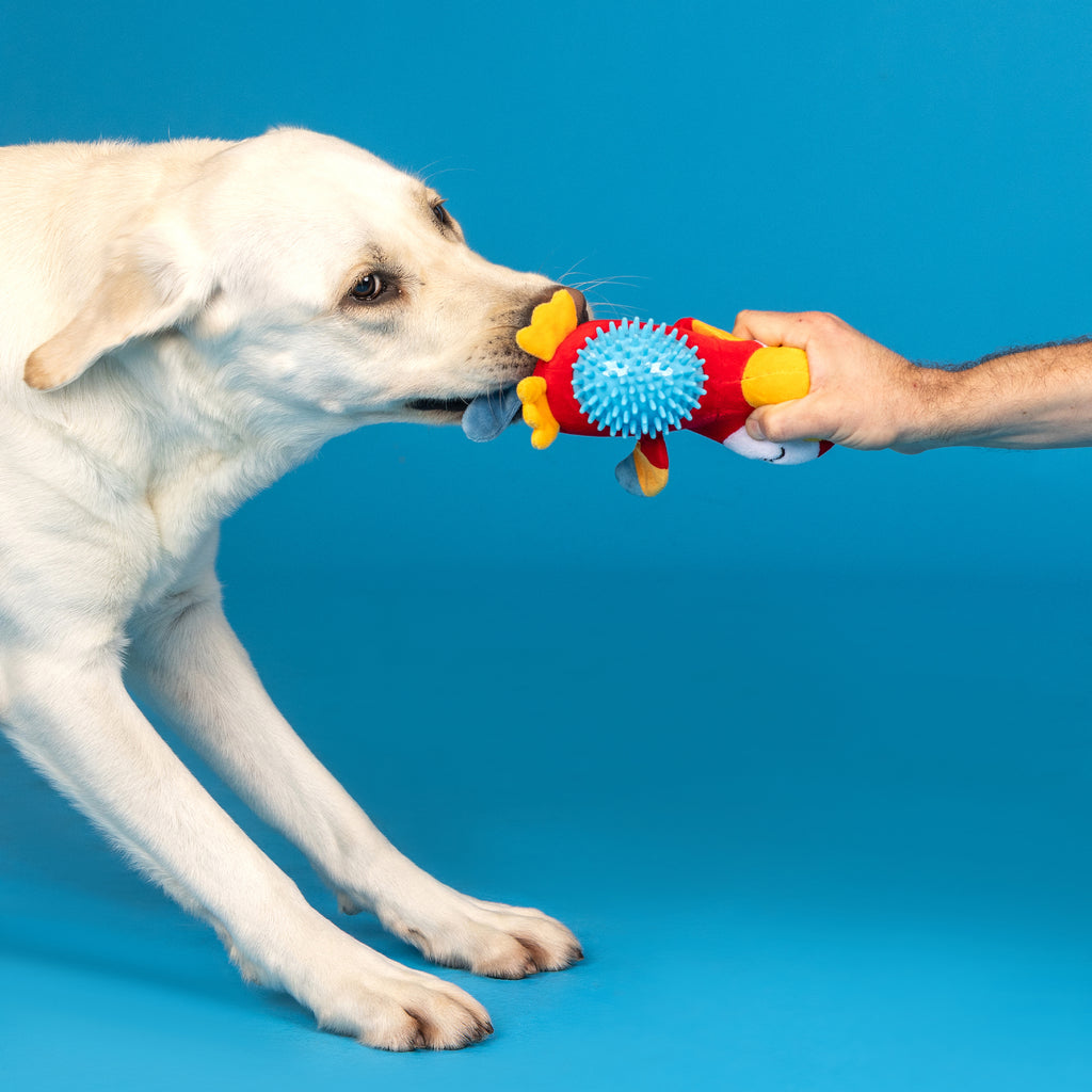 PETSHOP PERCHING PERFECTION PLUSH/SPIKEY BALL DOG TOY
