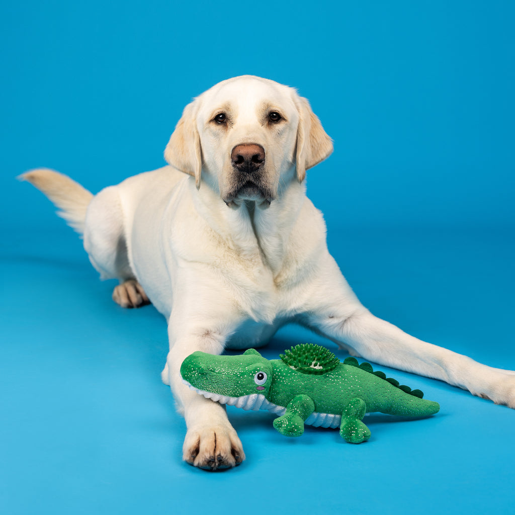 PETSHOP READY TO CROC PLUSH/SPIKEY BALL DOG TOY