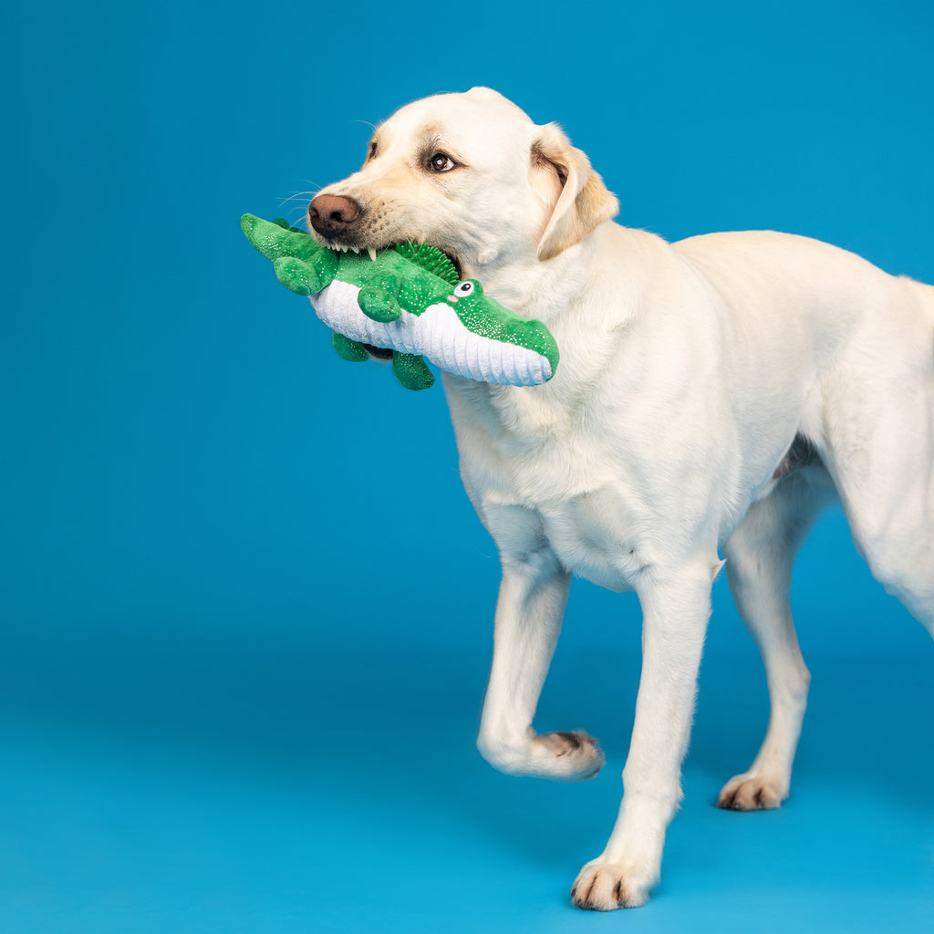 PETSHOP READY TO CROC PLUSH/SPIKEY BALL DOG TOY