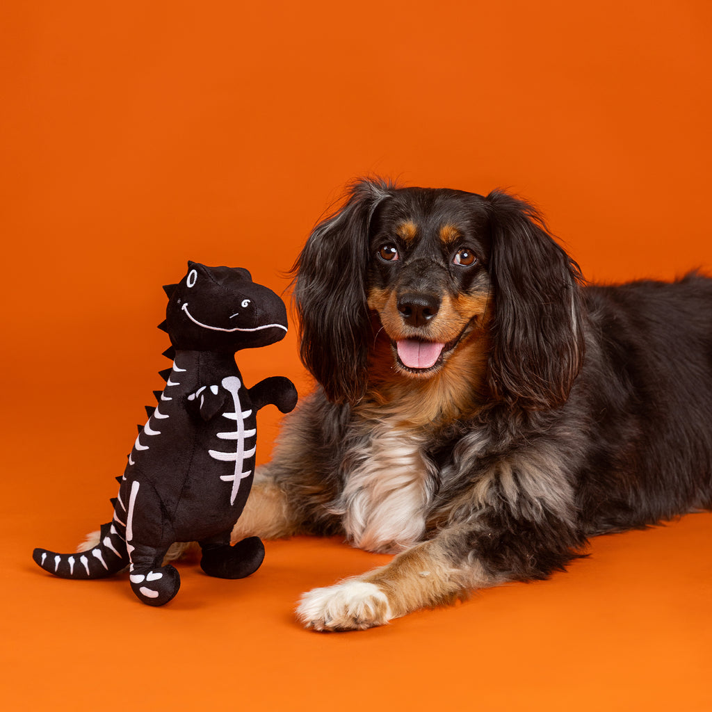 PETSHOP TRICK RAWR TREAT DOG TOY
