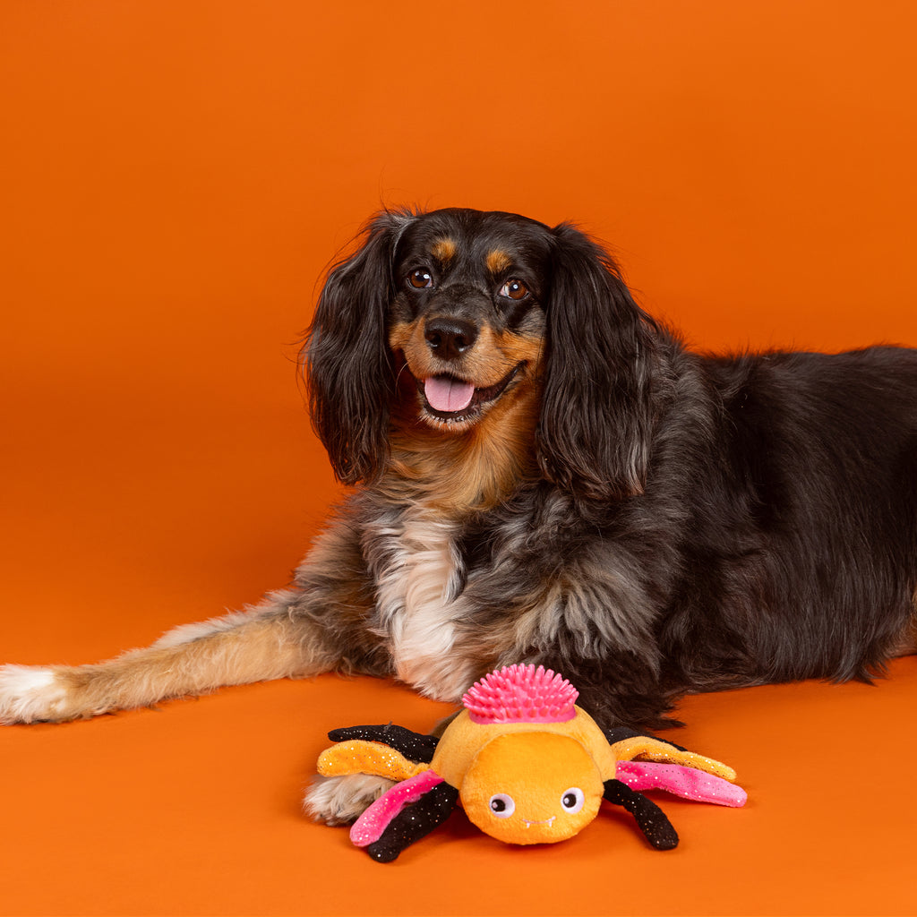 PETSHOP STOP BUGGING ME DOG TOY