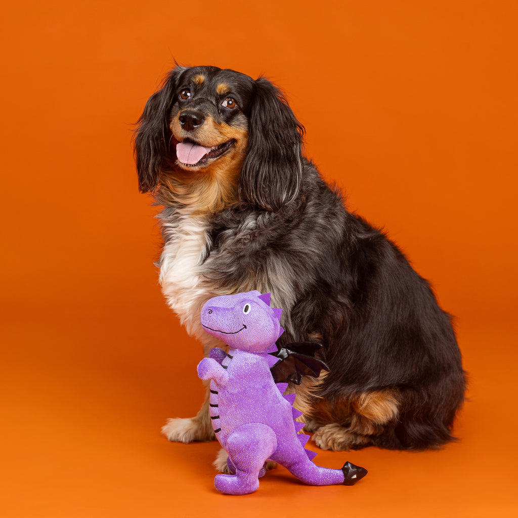 PETSHOP DON'T BE A DRAG-ON DOG TOY