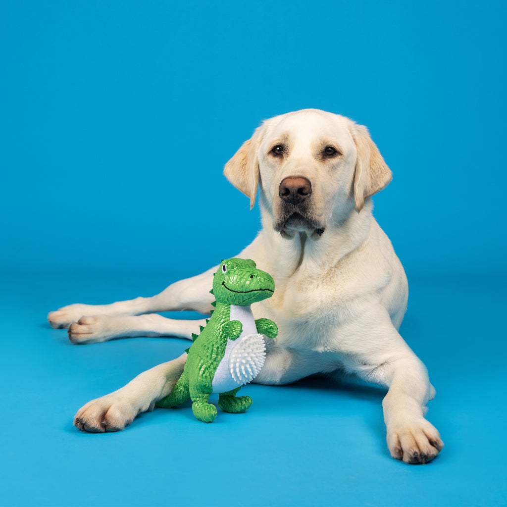 PETSHOP ROAR AND EXPLORE PLUSH/SPIKEY BALL DOG TOY