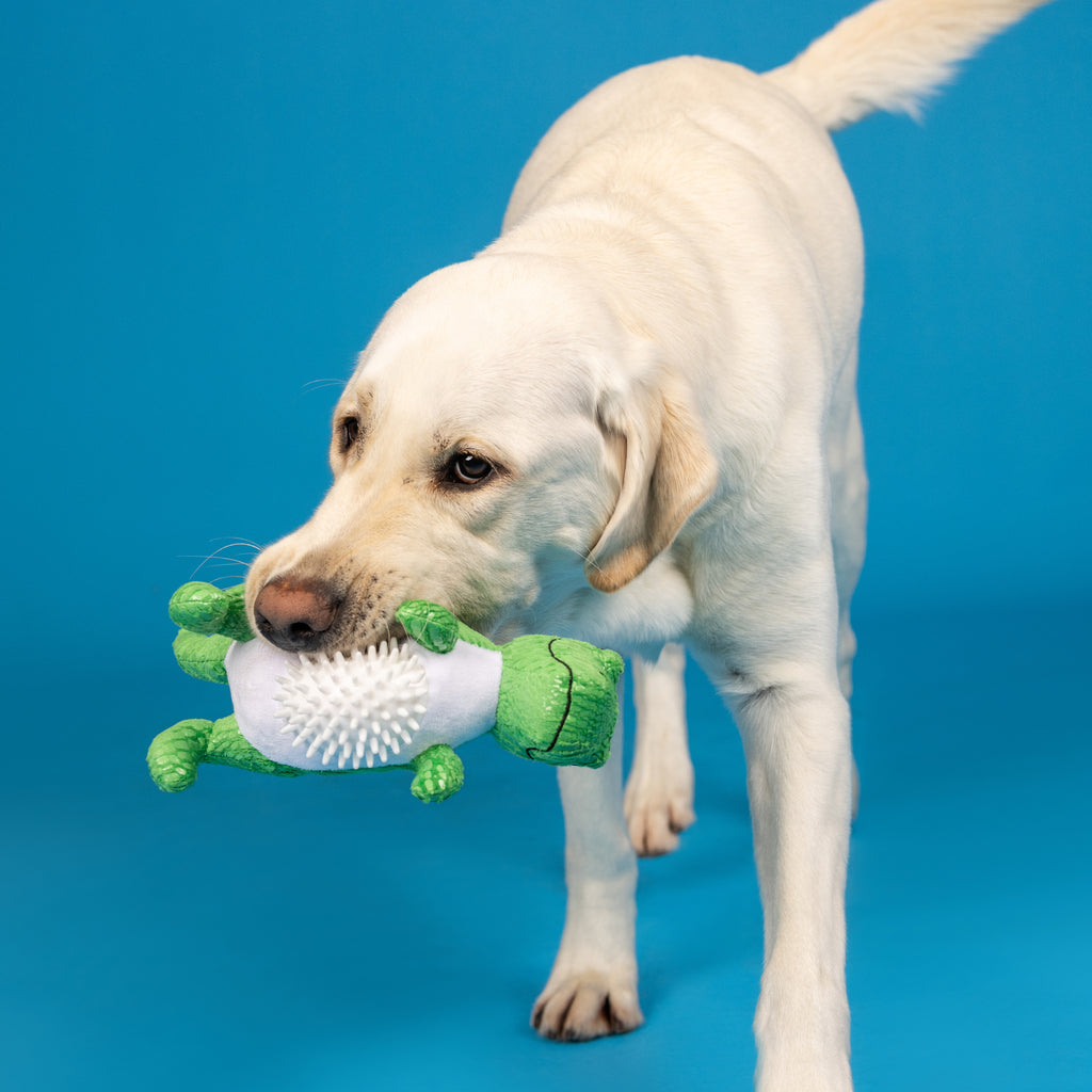 PETSHOP ROAR AND EXPLORE PLUSH/SPIKEY BALL DOG TOY