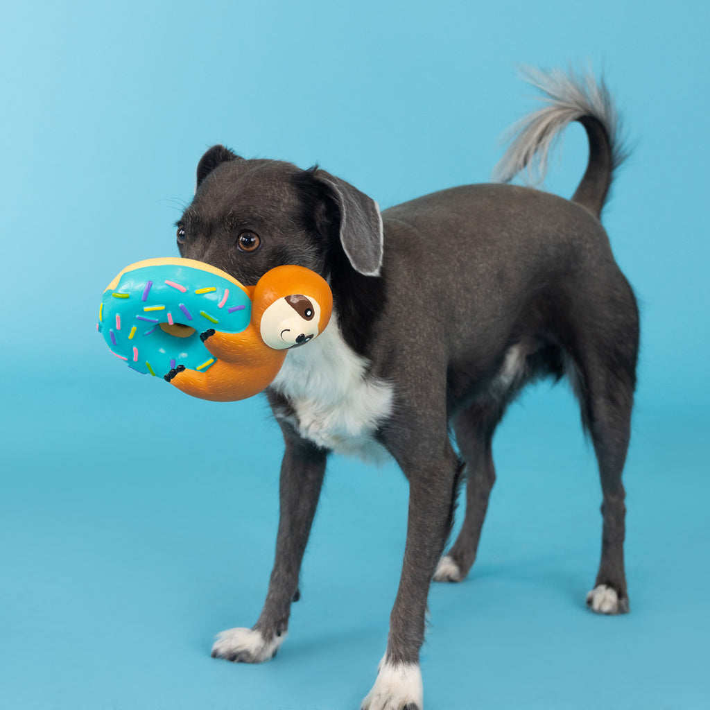 PETSHOP DONUT WORRY ABOUT A THING LATEX DOG TOY